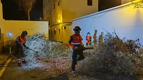 Bomberos durante la retirada del árbol caído.