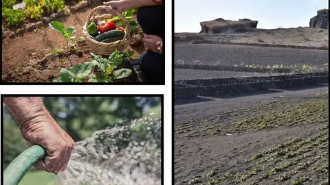 Curso Cultivos Agroecológicos 