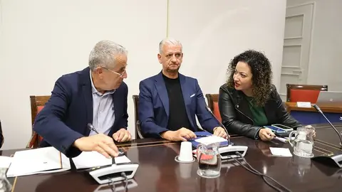 En el centro de la imagen, Francisco Linares, diputado nacionalista y portavoz de Agricultura en la Comisión de Presupuestos para el 2024.