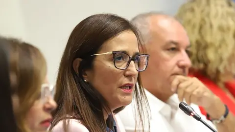 Natalia Santana, portavoz parlamentaria de Nueva Canarias-Bloque Canarista en materia social.