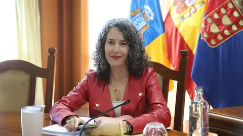 Ariagona González en el salón de plenos del Cabildo.