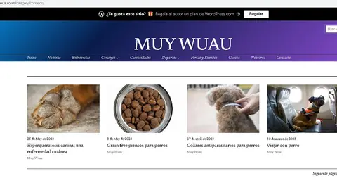 Imagen de la página en su estreno en Internet. 