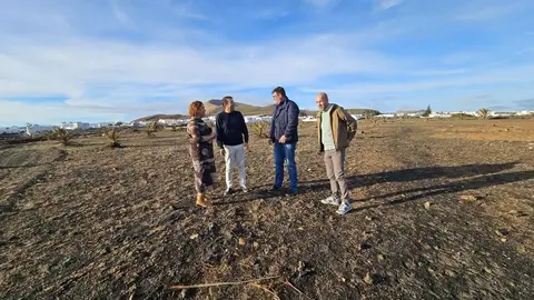Visita a los terrenos del CEIP Alexis Tejera.