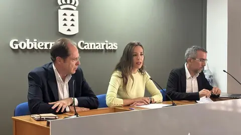 La Consejería de Turismo y Empleo presenta el informe ‘Distribución y concentración del alojamiento turístico en Canarias’ elaborado por el Observatorio Turístico de Canarias.