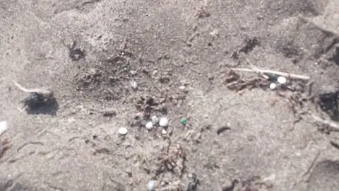Imagen de los pellets localizados en la playa de La Garita.