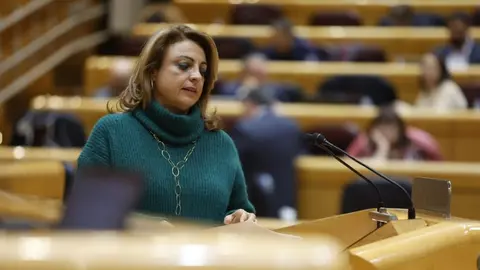 Cristina Valido, diputada de Coalición Canaria.