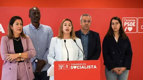 María Dolores Corujo junto al resto de diputados.