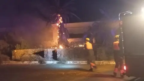 Bomberos del Consorcio de Seguridad y Emergencias apagando el incendio de una palmera.