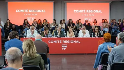 Imagen del encuentro de la Regional del PSOE canario celebrado este sábado