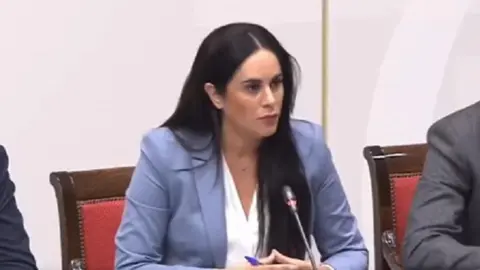 Vidina Espino en el Parlamento de Canarias.