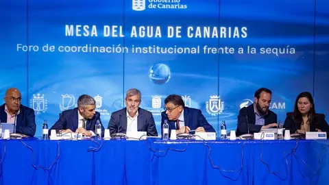 Imagen de la Mesa del Agua presidida por Fernando Clavijo