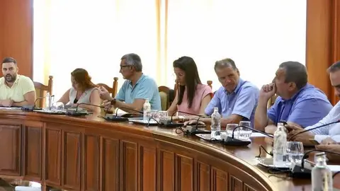 Imagen de los consejeros de CC en el último pleno del Cabildo