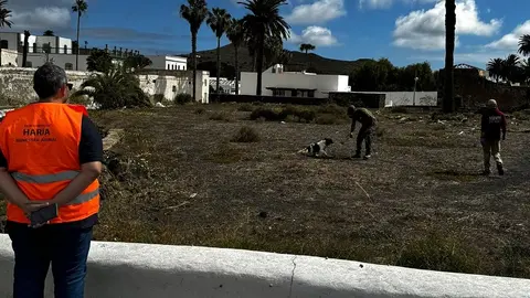 Perros de la Unidad Canina en Haría.