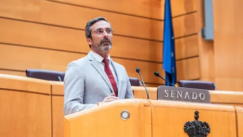 Pedro San Ginés en el Senado.