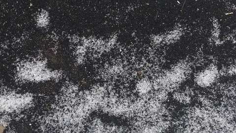 Imagen de las bolas de granizo que han caído en numerosas zonas de Lanzarote este sábado