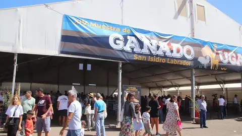 Imagen de la muestra de ganado del año pasado.