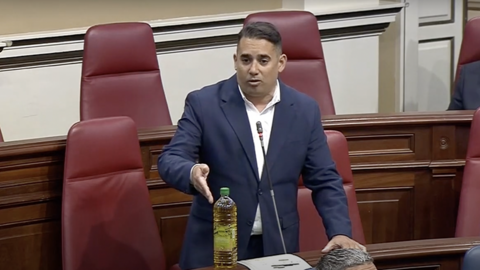 Yone en el pleno de este martes