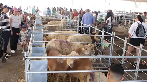 Diferentes visitantes de la muestra de Uga.