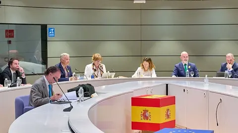 Elena Zárate Comisión Sectorial Reto Demográfico 2