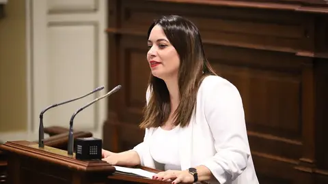 Cristina Calero en el Parlamento de Canarias.