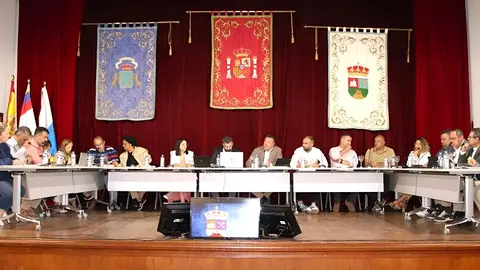 Sesión plenaria de este 29 de abril en Yaiza.