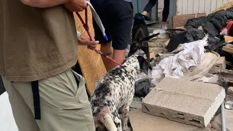 Intervención de la Policía Local de Arrecife para liberar maltrato a los perros 