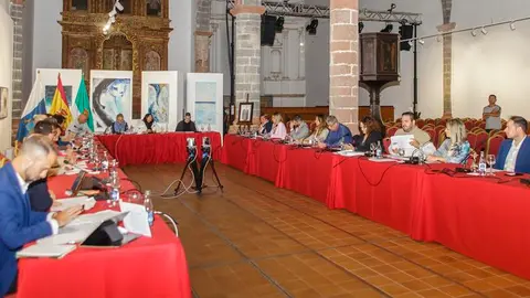 Imagen del pleno municipal.