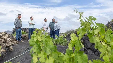 Visita a una de las fincas de La Geria.