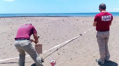 Agentes de Medio Ambiente del Cabildo realizando su trabajo