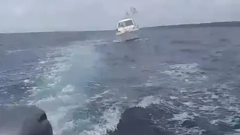 EMERLAN realizando el remolque de la embarcación.