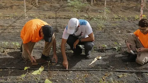 INVERNADERO-TEGUISE-1-1200x800