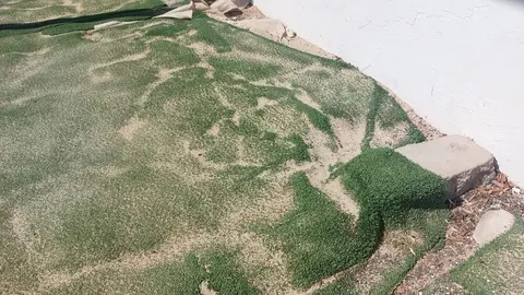 Estado del parque infantil de La Santa.