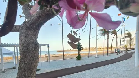 Imagen de cómo ha quedado la zona después de muchos meses de obra.