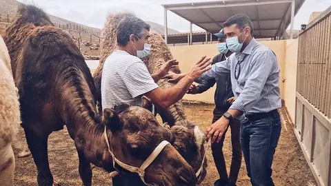 Oswaldo Betancort junto a un camello.
