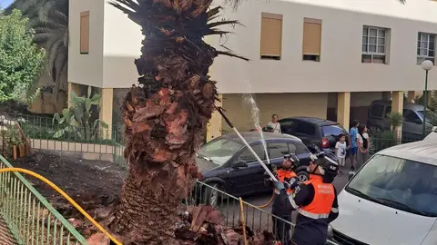 Momento en el que los bomberos controlaron el fuego