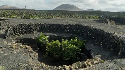 Paisaje CRDO
