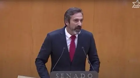 Pedro San Ginés en una comparecencia en el Senado.
