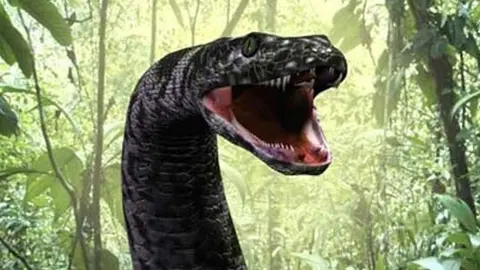 Imagen de la serpiente.