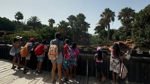 Imagen de los menores en el Rancho Texas.