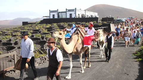 Vendimia en La Geria.