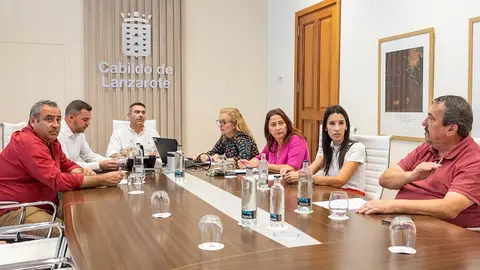 Consejo de Gobierno del Cabildo de Lanzarote
