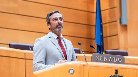 Pedro San Ginés en el Senado.