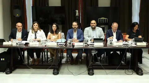 Samuel en la comisión parlamentaria de cabildos.