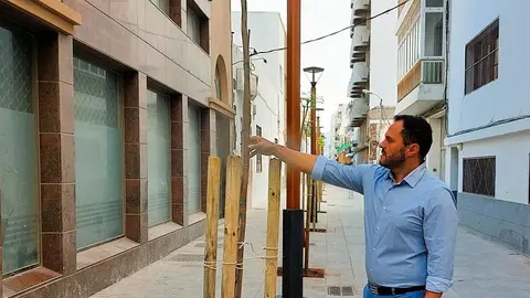 La transformación de la calle Canalejas seguirá hasta La Plazuela. El alcalde de Arrecife, en el día  que se plantaron las jacarandas en la vía