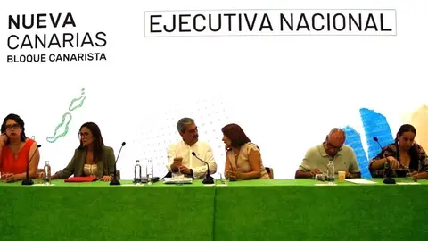 Imagen de la Ejecutiva Nacional de Nueva Canarias.
