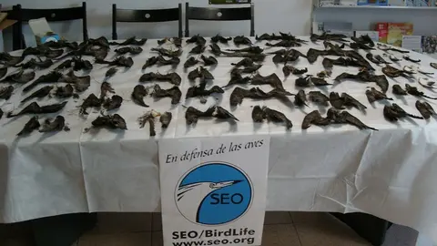 SAMSUNG DIGITAL CAMERA