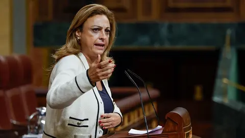 Cristina Valido en el Congreso de los Diputados.