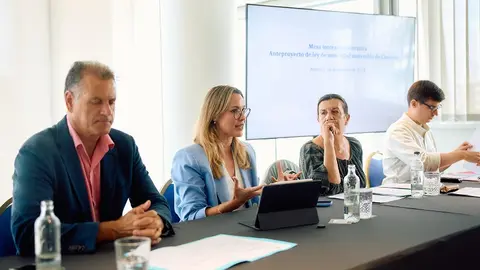 María Fernández explica a las administraciones de Lanzarote el proceso participativo para elaborar la primera ley de movilidad sostenible de Canarias 2