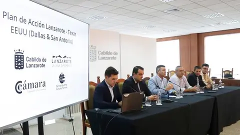 Imagen de la presentación del Plan de Acción en Estados Unidos presentado este jueves por la mañana en el Cabildo.