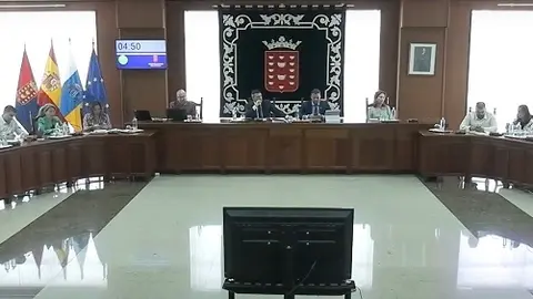 Pleno del Cabildo de Lanzarote.